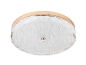 Потолочный светильник LED4U