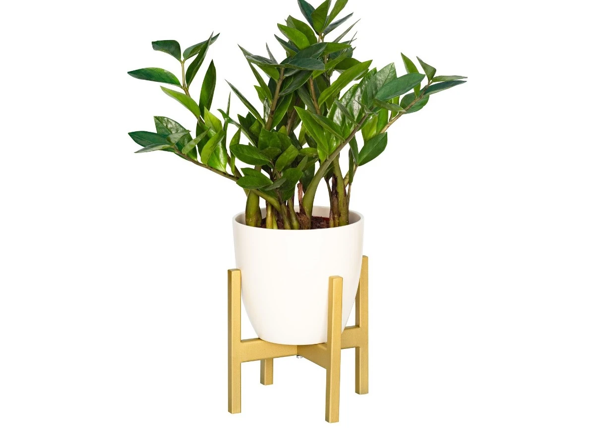 Подставка для цветов Oxalis 20 939155  - фото 7