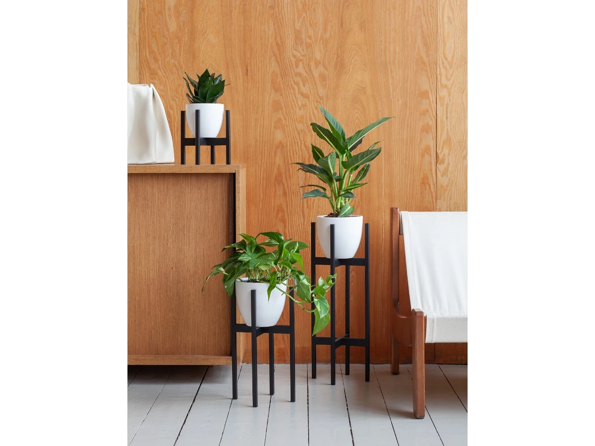 Подставка для цветов Oxalis 20 939156  - фото 3