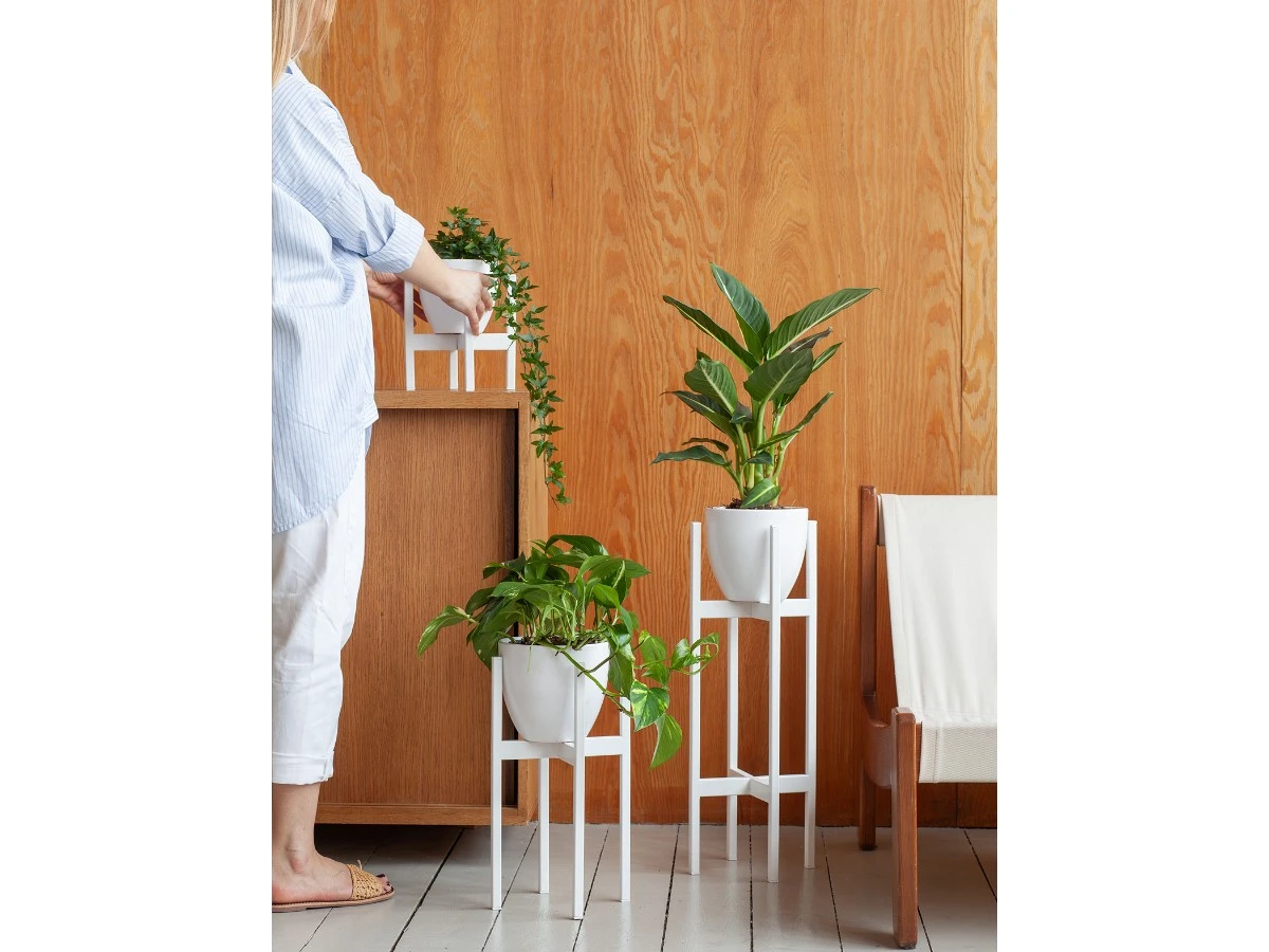 Подставка для цветов Oxalis 40 939157