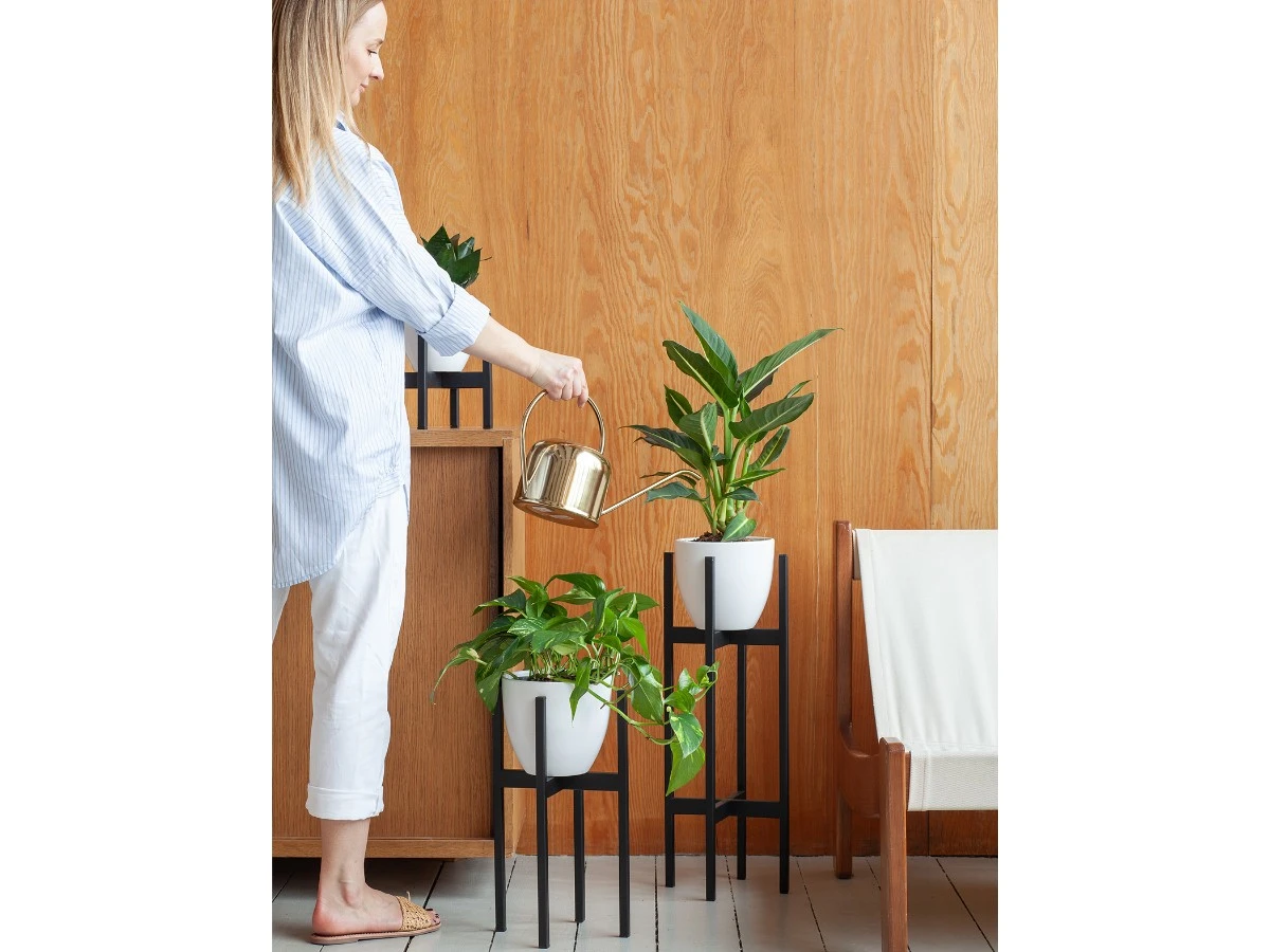 Подставка для цветов Oxalis 40 939159