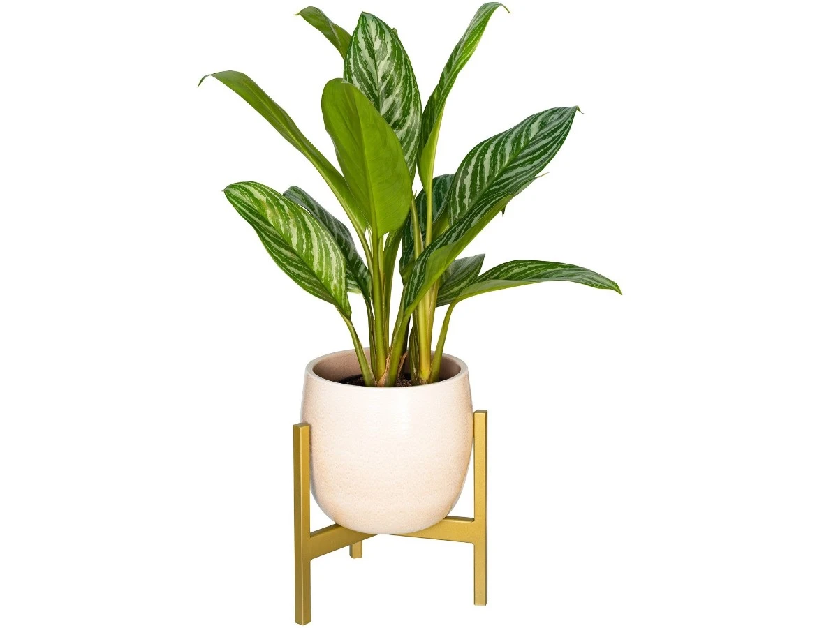 Подставка для цветов Trinity 25 939189  - фото 5