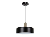 Подвесной светильник Skat