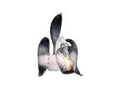 Светильник PRIMA