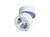 Светильник URCHIN