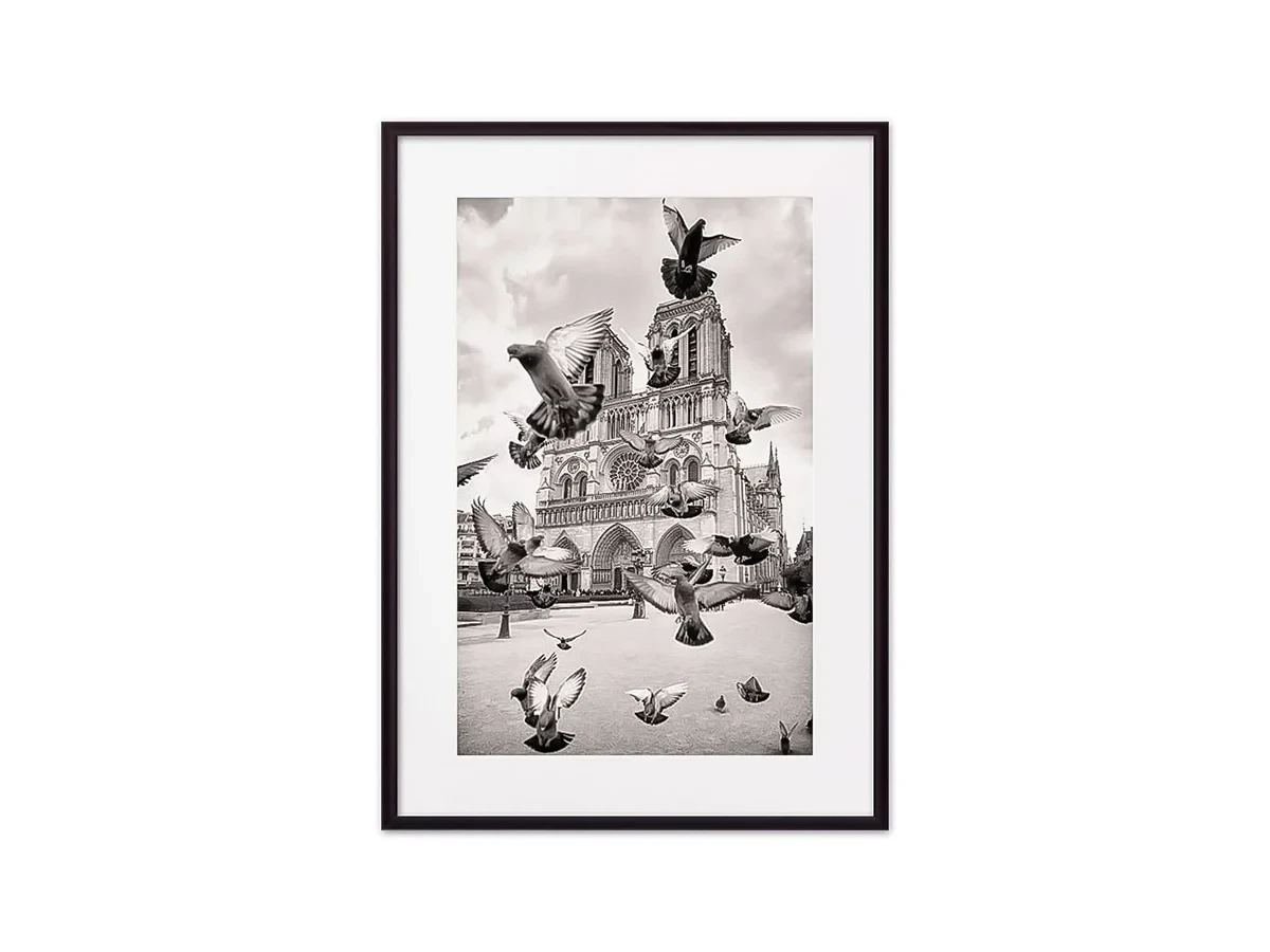 Постер в рамке Голуби Нотр-Дам 30х40 см 645515  - фото 4