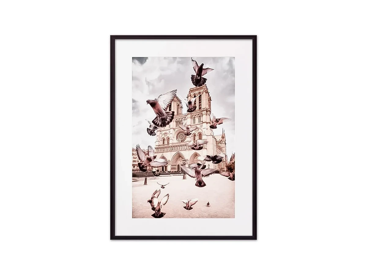 Постер в рамке Голуби Нотр-Дам 30х40 см 645515  - фото 3