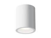 Потолочный светильник Conik gyps