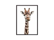 Постер в рамке Удивленный жираф 21х30 см