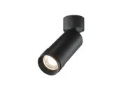 Потолочный светильник Focus Zoom