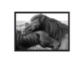 Панно
плакат