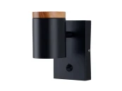 Светильник настенный Asheswood