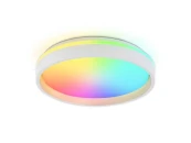 Потолочный светодиодный светильник с пультом Dance