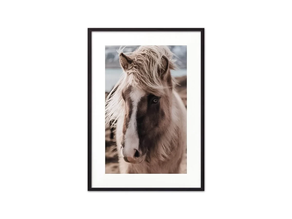 Постер в рамке Скандинавская лошадь 2 21х30 см 647716  - фото 1
