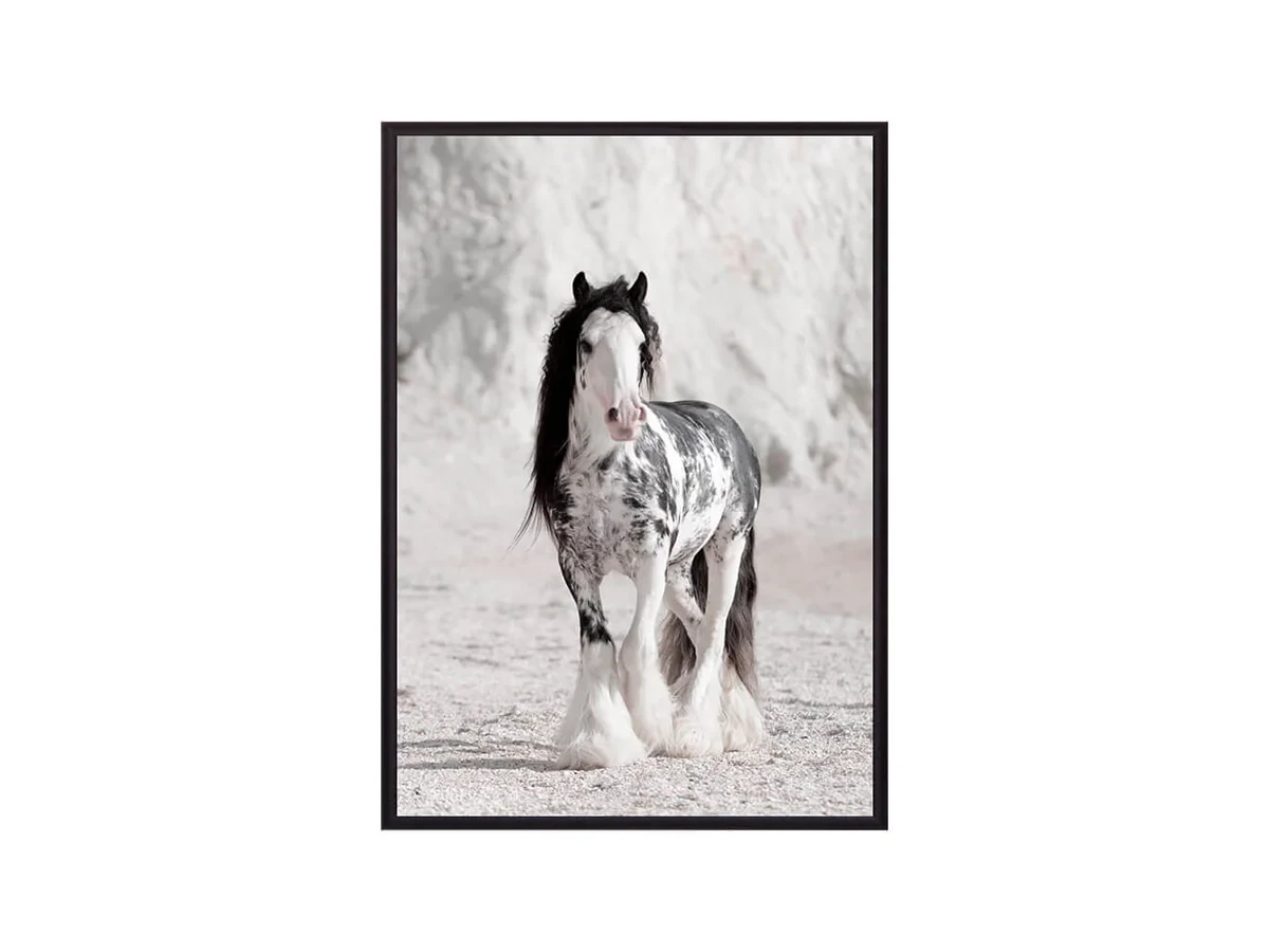 Постер в рамке Ирландская лошадь 21х30 см 647764  - фото 1