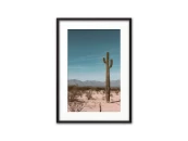 Постер в рамке Кактус в пустыне 40х60 см 647816