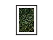 Постер в рамке Зеленый лес с высоты 40х60 см