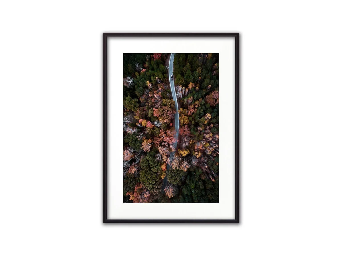 Постер в рамке Осенний лес с высоты 21х30 см 648038