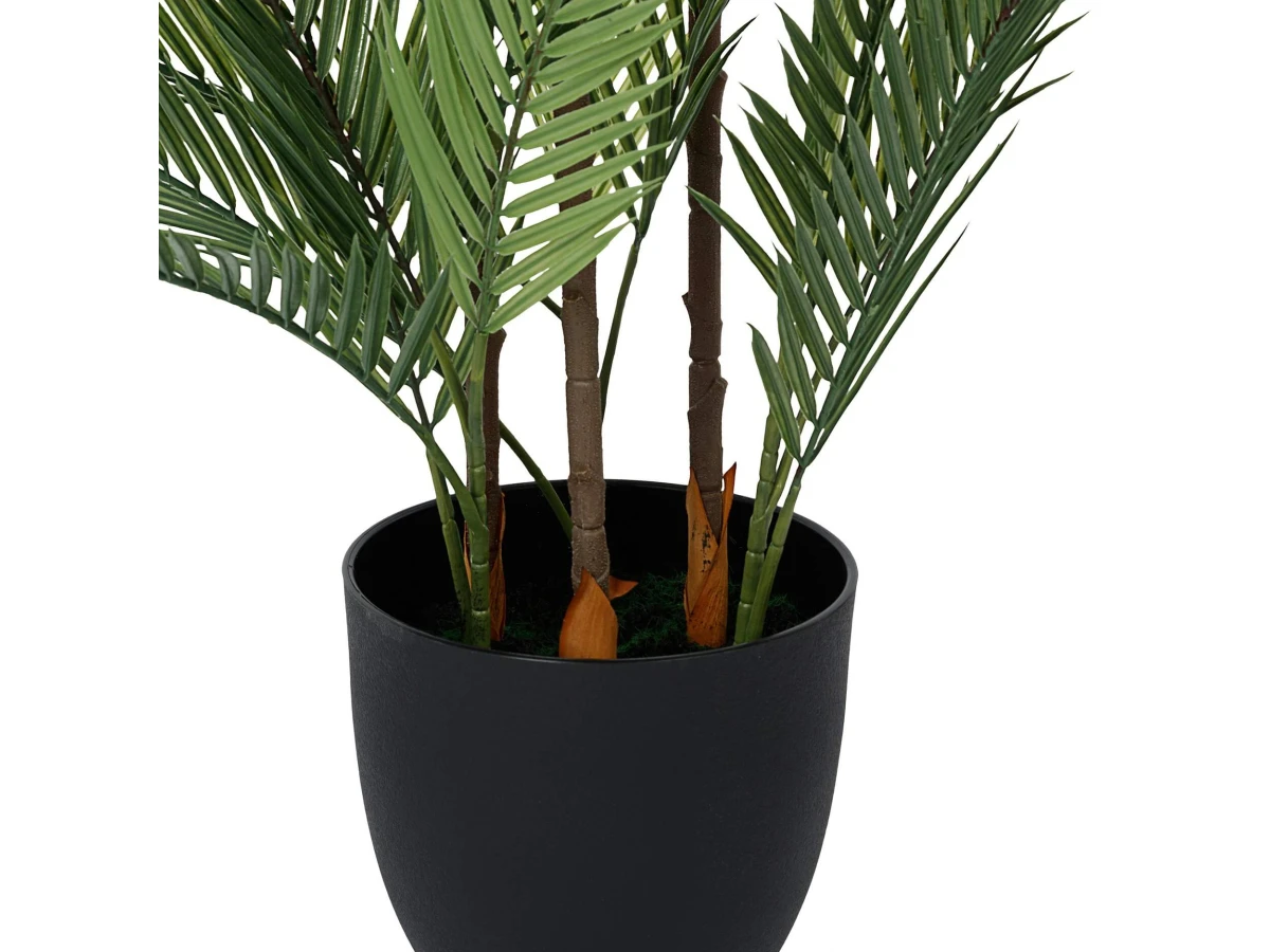 овея Пальмовая 951478