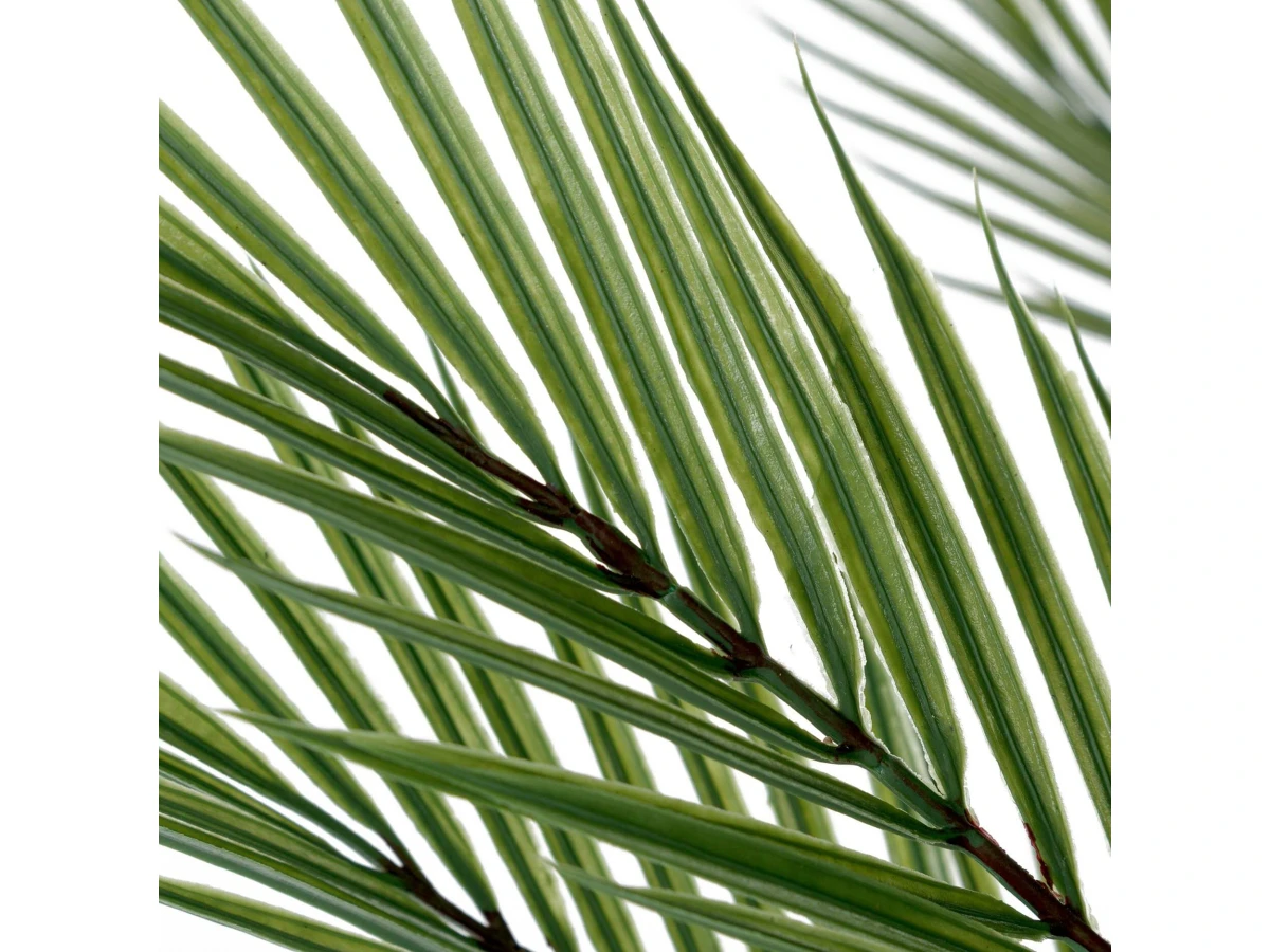 овея Пальмовая 951478  - фото 5