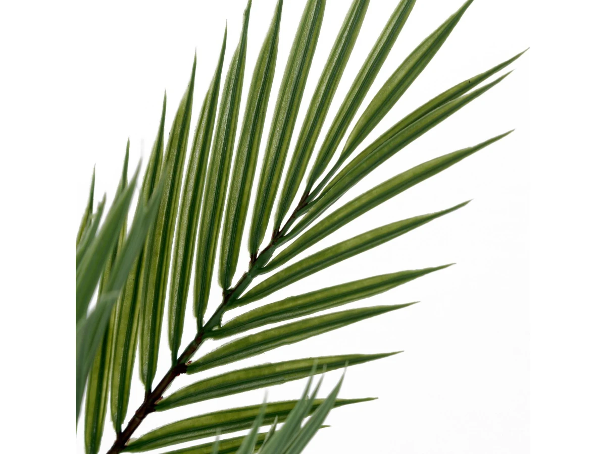 овея Пальмовая 951478  - фото 4