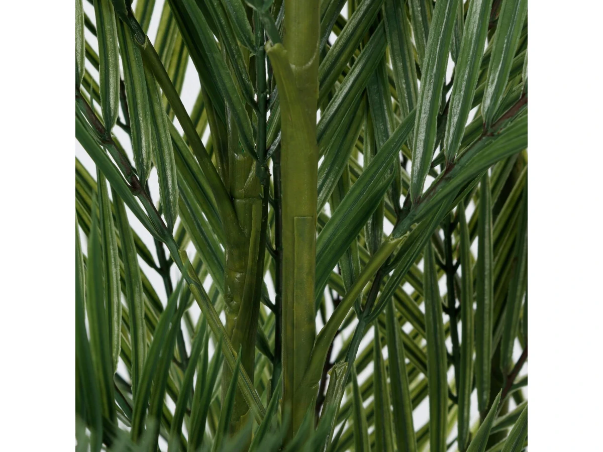 овея Пальмовая 951478  - фото 3