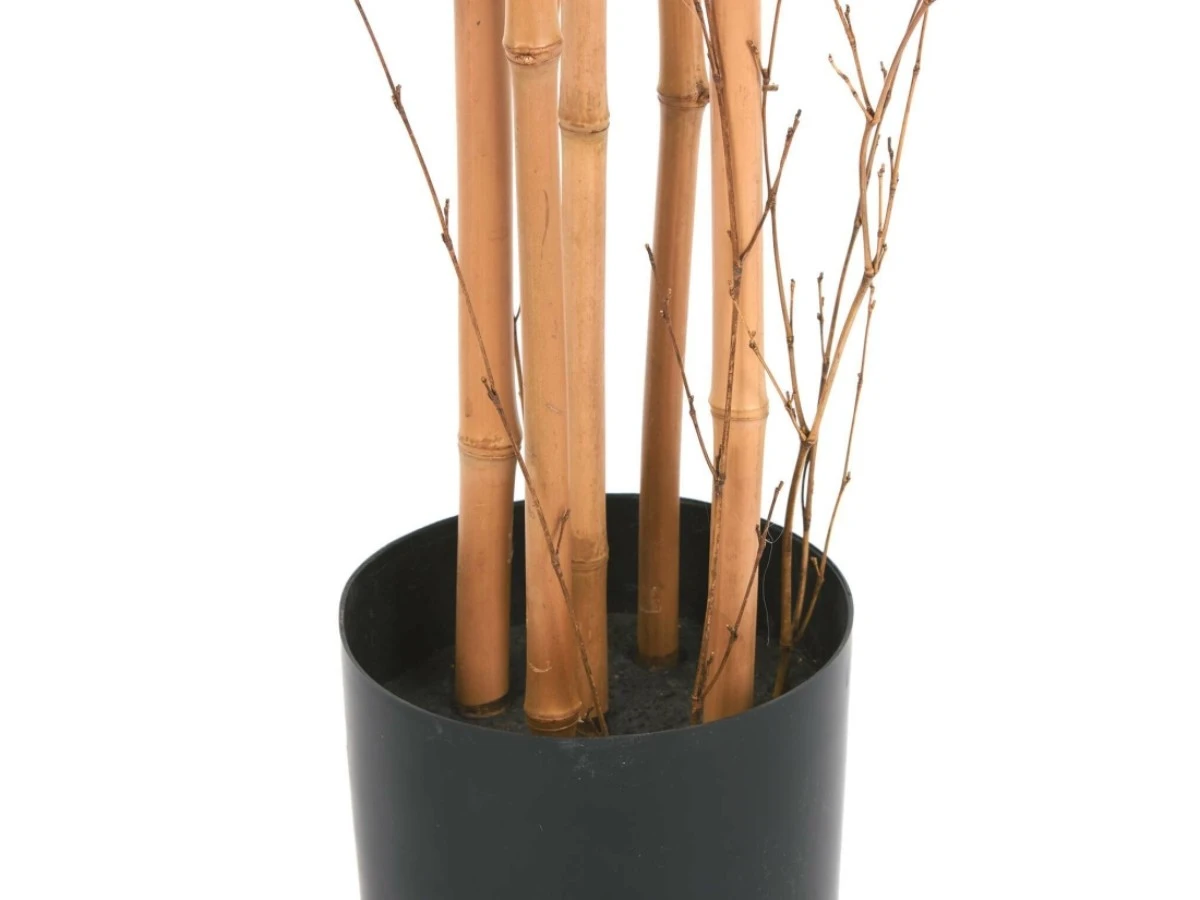 Бамбук высота 175 см 951954