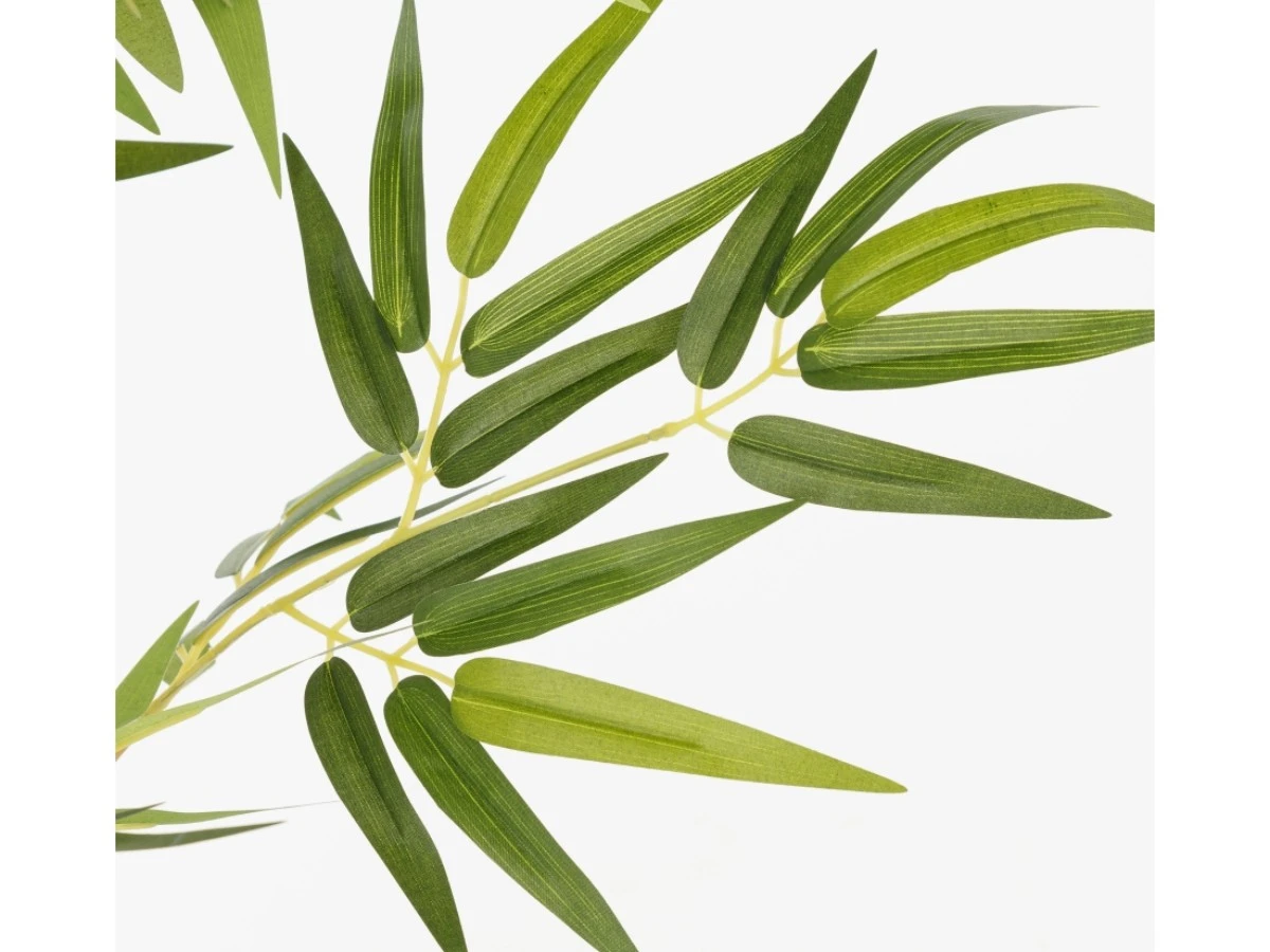 Бамбук высота 210 см, 5 стволов 951963  - фото 5