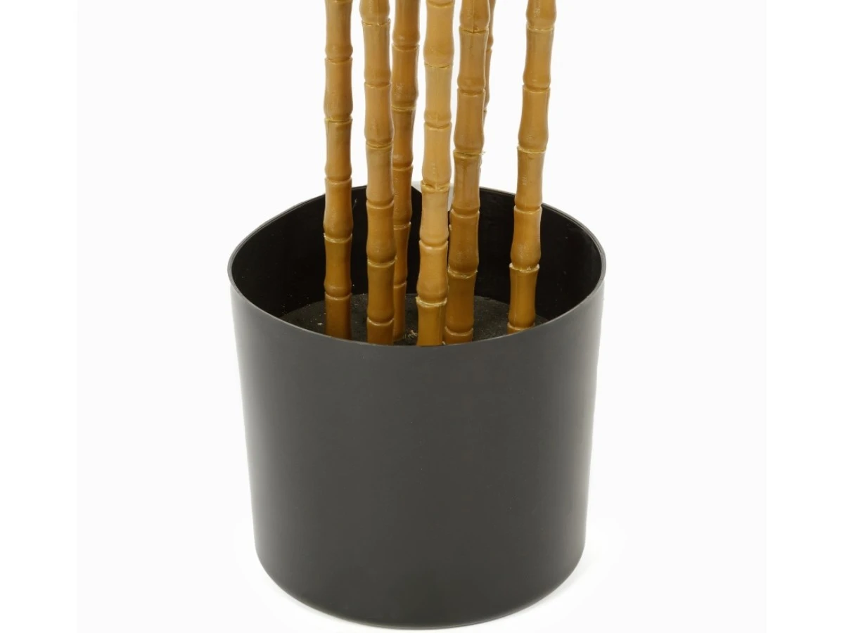 Бамбук высота 210 см, 5 стволов 951963