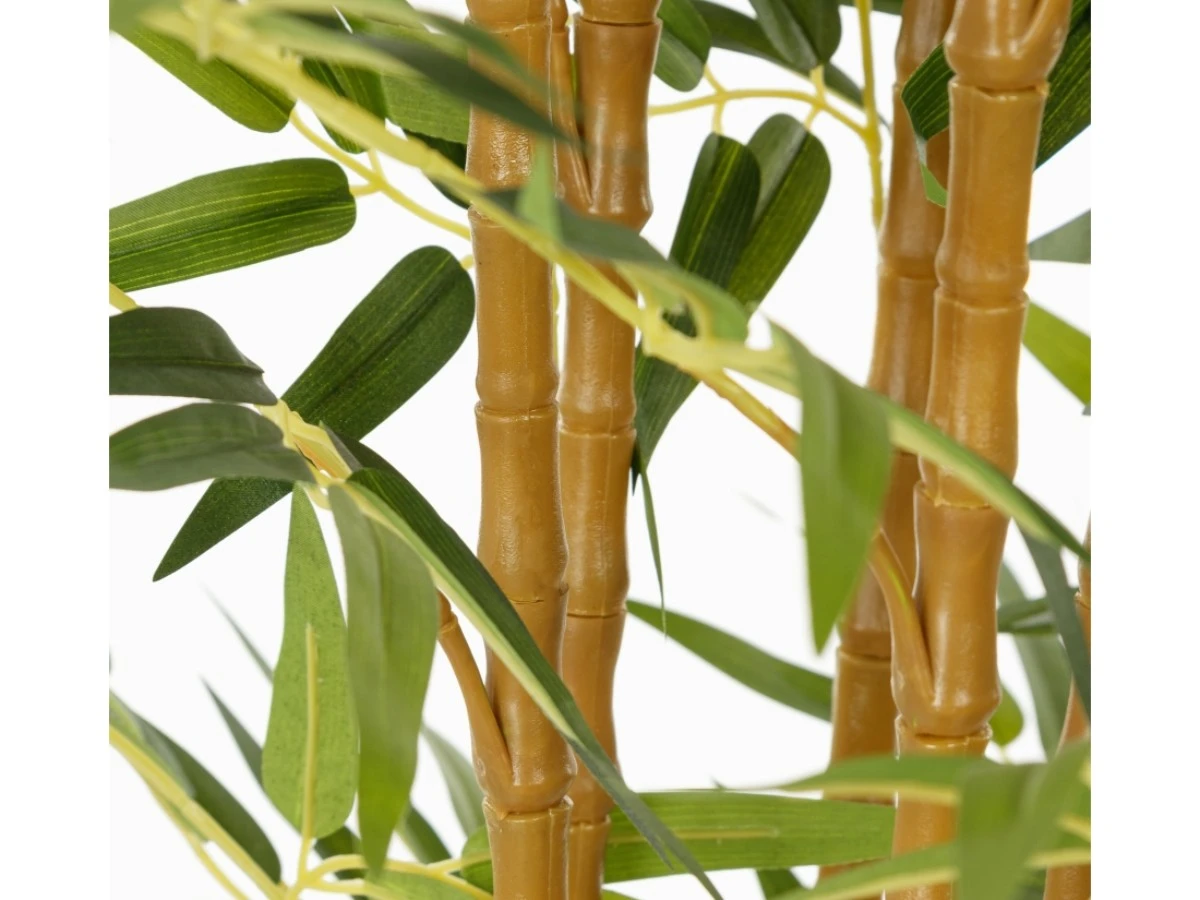 Бамбук высота 210 см, 5 стволов 951963  - фото 3