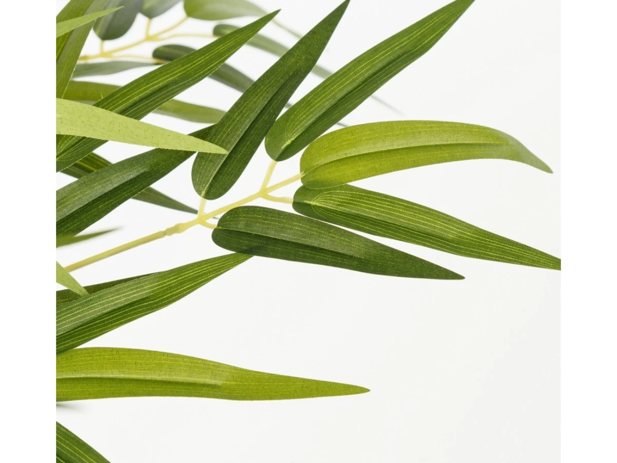 Бамбук высота 210 см, 5 стволов 951963  - фото 4