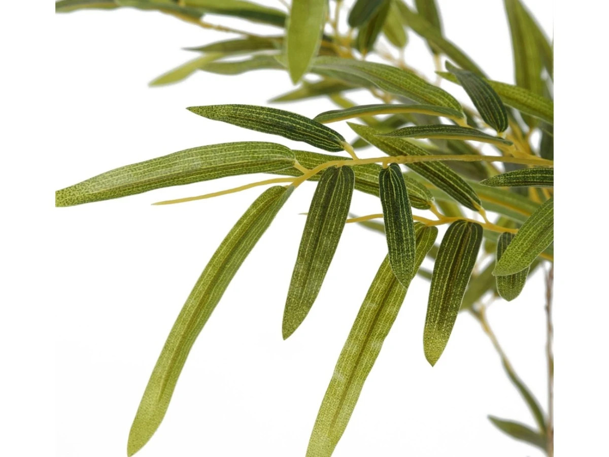 Бамбук высота 210 см, кустистый 951975  - фото 4