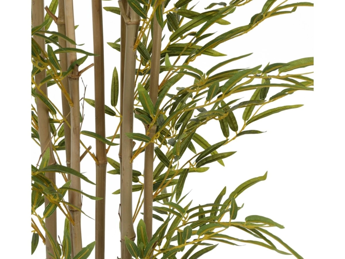 Бамбук высота 210 см, кустистый 951975  - фото 5