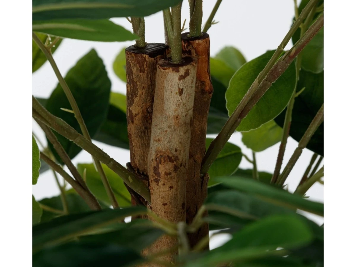 Лимонное дерево высота 150 см 952440  - фото 4