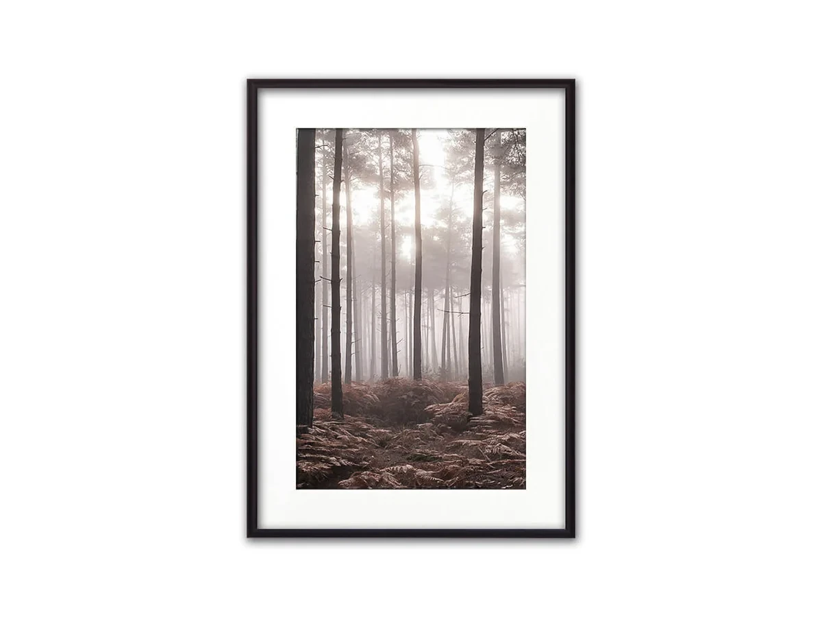 Постер в рамке Туманный лес 21х30 см 648286  - фото 1