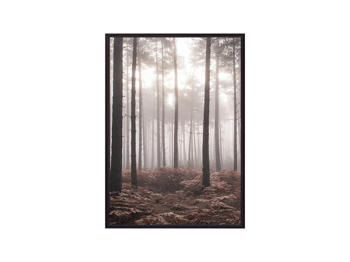 Постер в рамке Туманный лес 50х70 см 648292