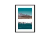 Постер в рамке Фламинго на водопое 21х30 см