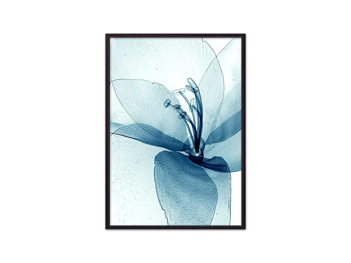 Постер в рамке Прозрачный цветок 40х60 см 648330  - фото 1