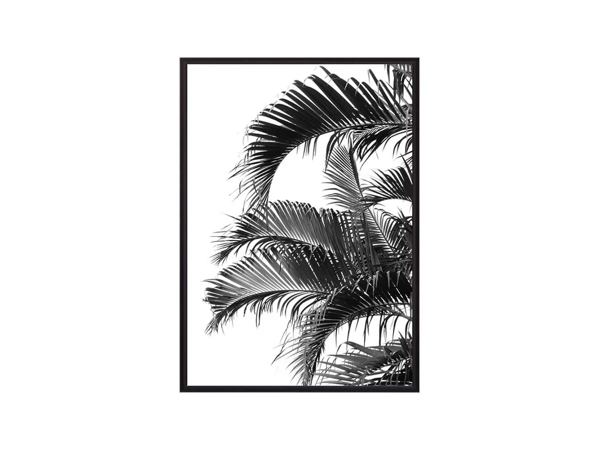 Постер в рамке Пальмовые листья 21х30 см 648438  - фото 1