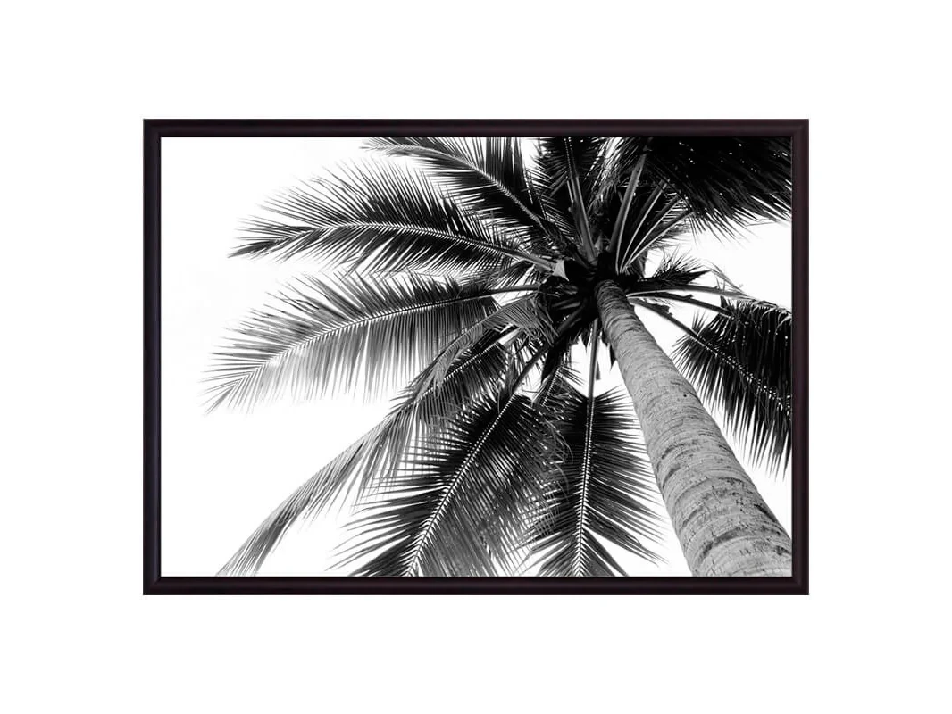 Постер в рамке Пальма 40х60 см 648482
