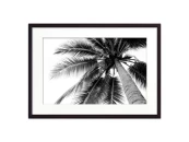 Постер в рамке Пальма 40х60 см