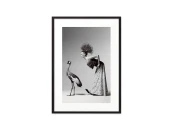 Постер в рамке Девушка и журавль 30х40 см