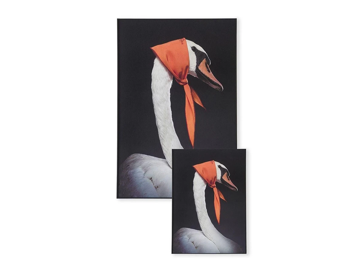 Картина Hermes Swan 958333