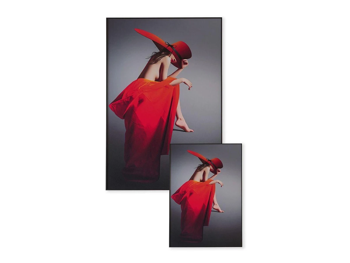 Картина Red Hat 958368