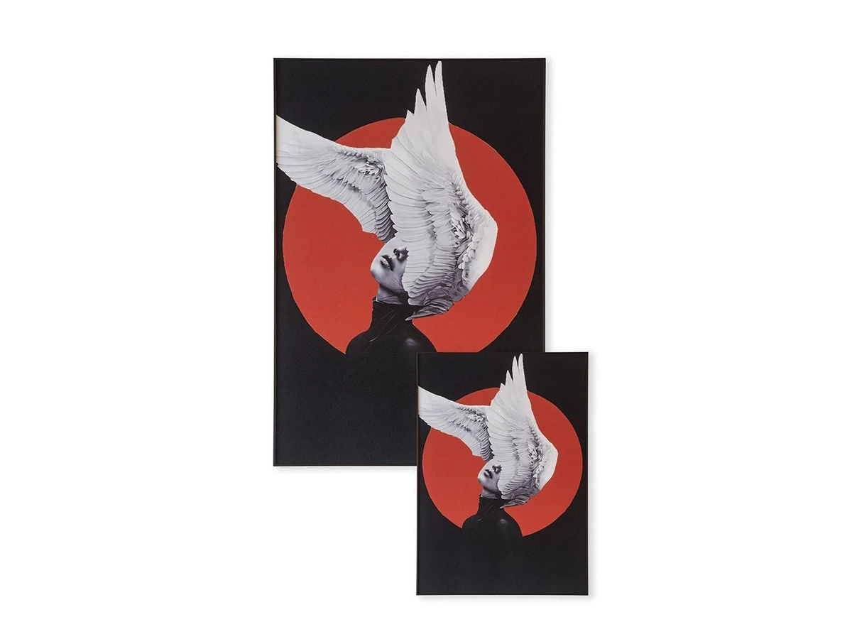 Картина Wings 958382