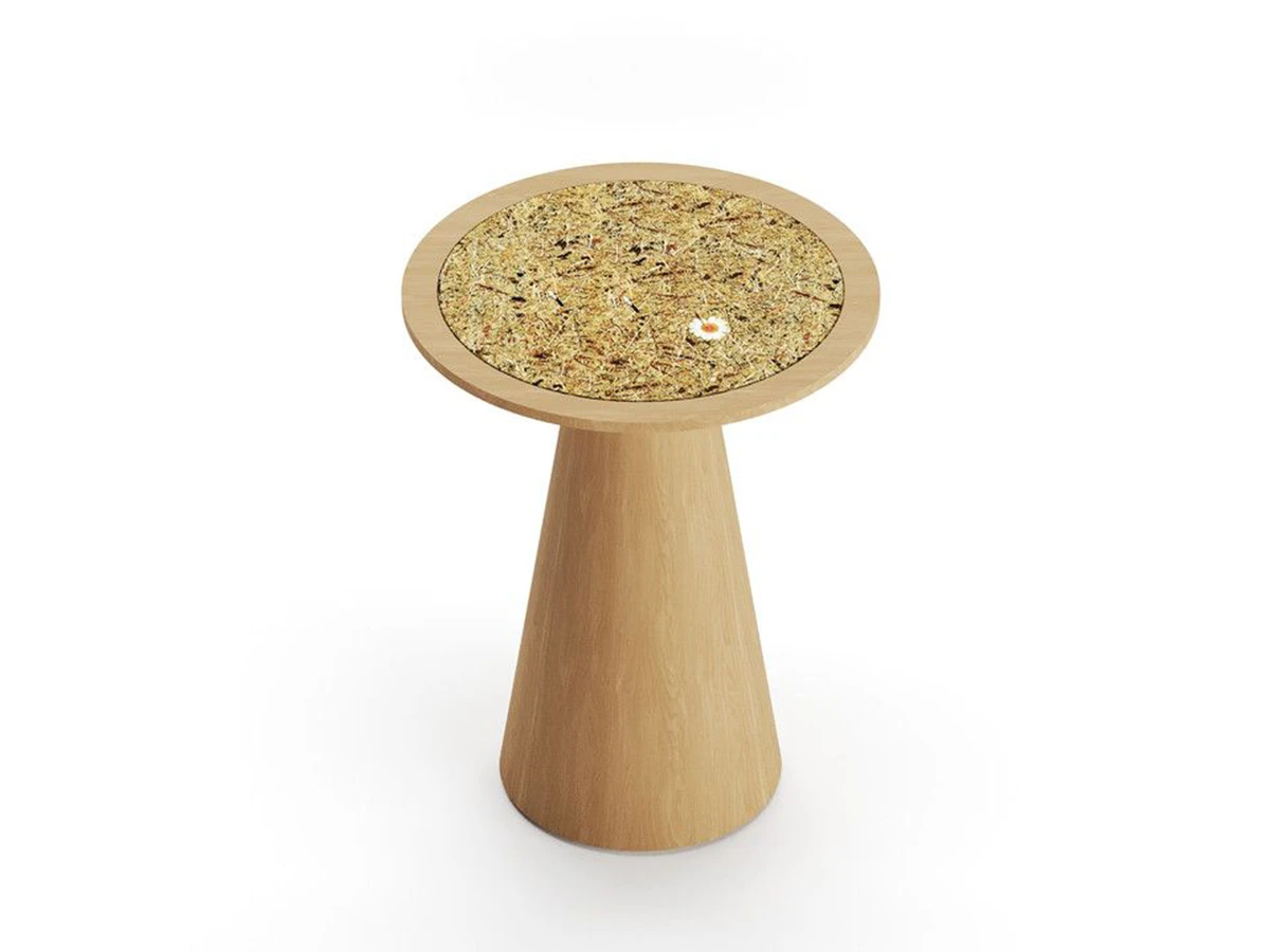 Стол журнальный Dino 960236  - фото 3