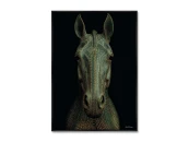 Репродукция картины на холсте Equus, No 2, 2025г.