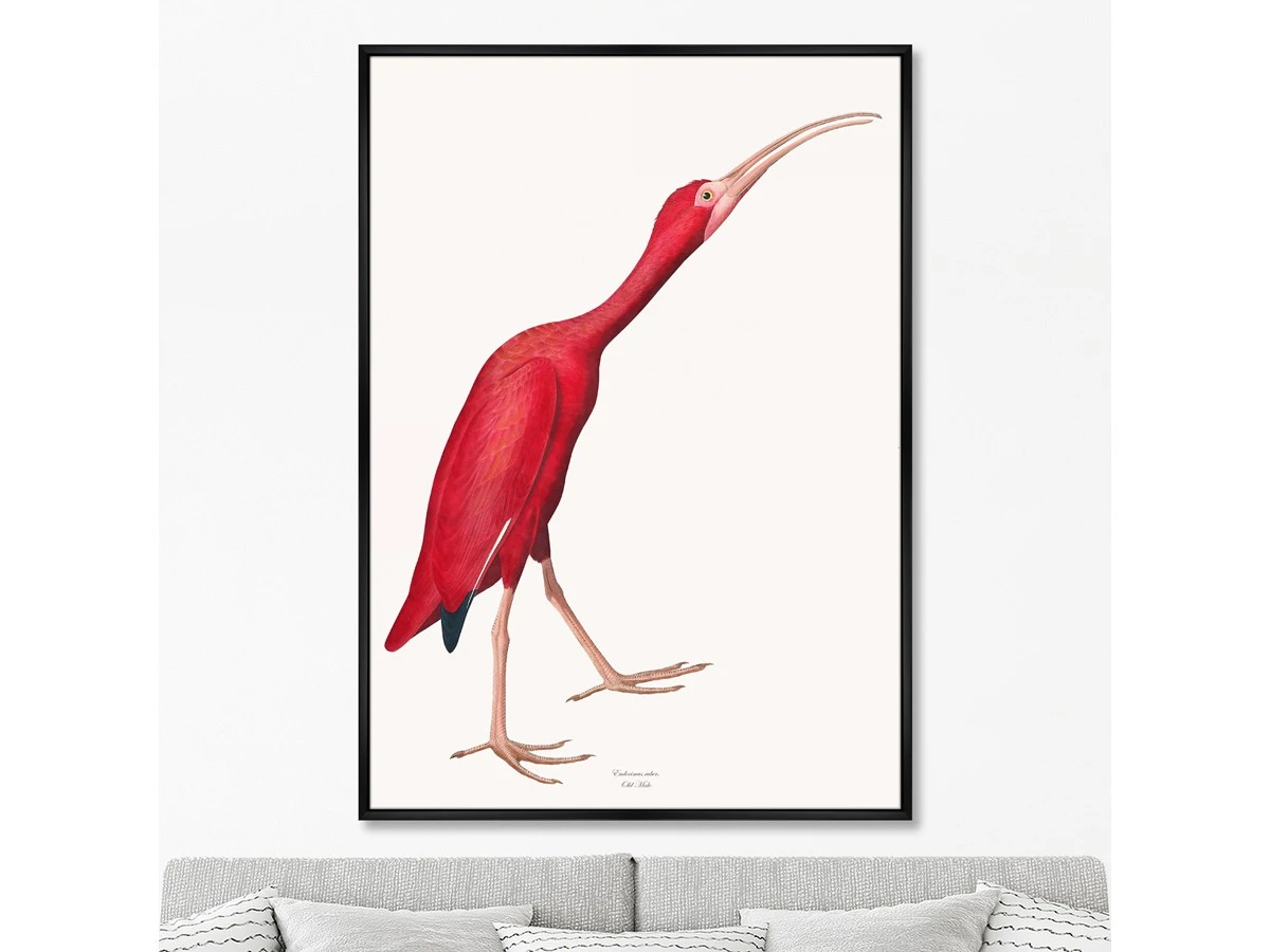 Репродукция картины на холсте Розовые птицы, No 1, Ибис, 1827г. 960850