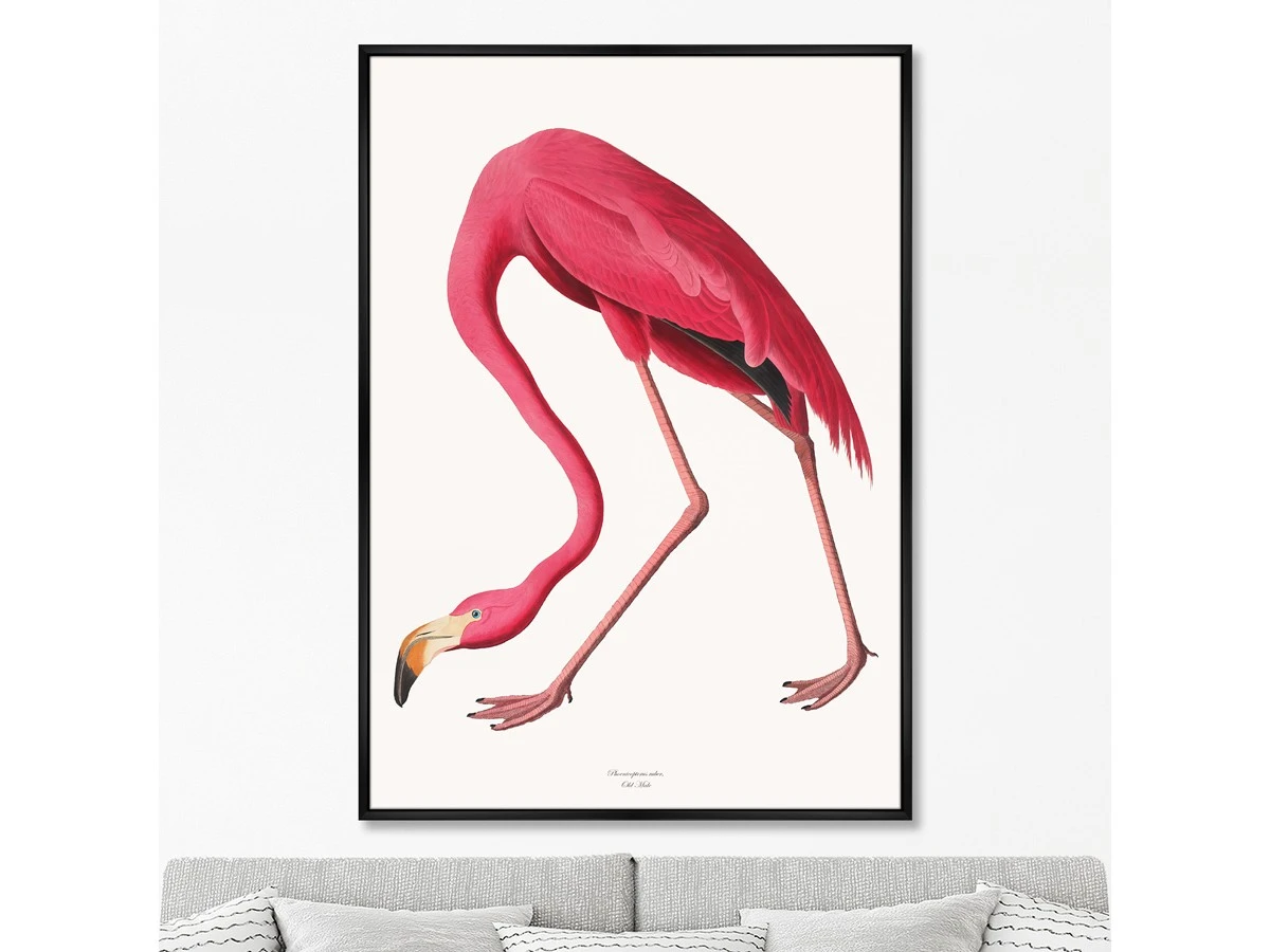 Репродукция картины на холсте Розовые птицы, No 2, Фламинго, 1822г. 960853