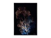 Репродукция картины на холсте Коралловая симфония в цвете ночи, No 1, 2025г.